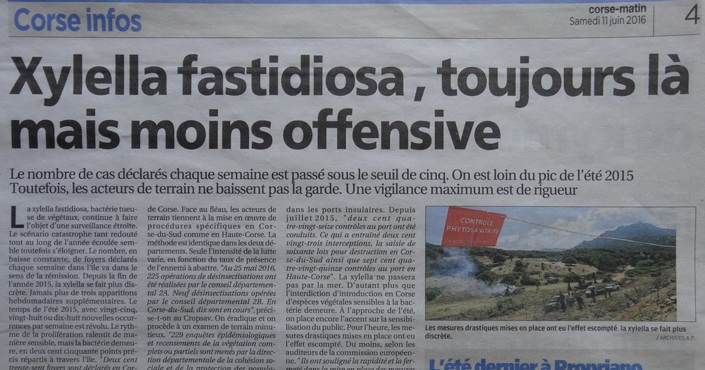 AMIS ET VISITEURS BIENVENUE * Extrait Corsematin de ce jour