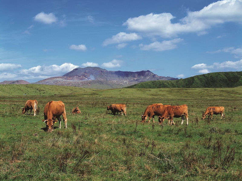 一級嘴砲技術士
