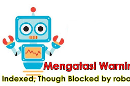 Mengatasi Warning Indexed, Though Blocked by robots.txt di Search Console 