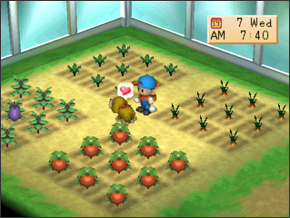 Harvest Moon Terbaik