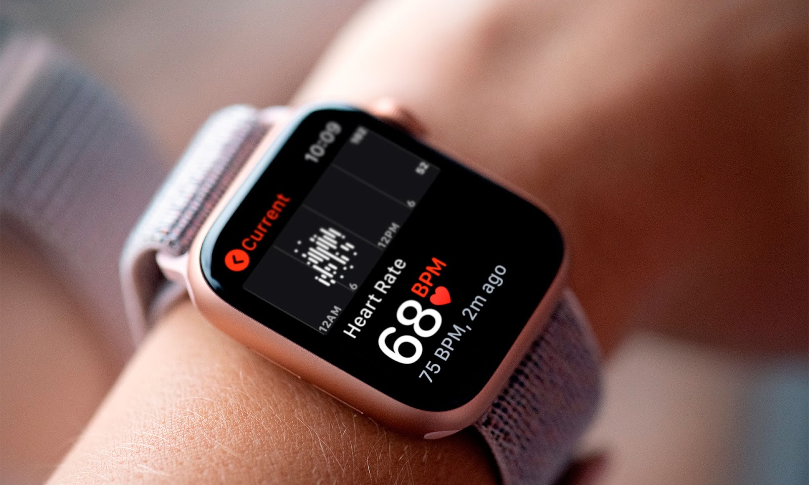 apple watch heart rate during workout
