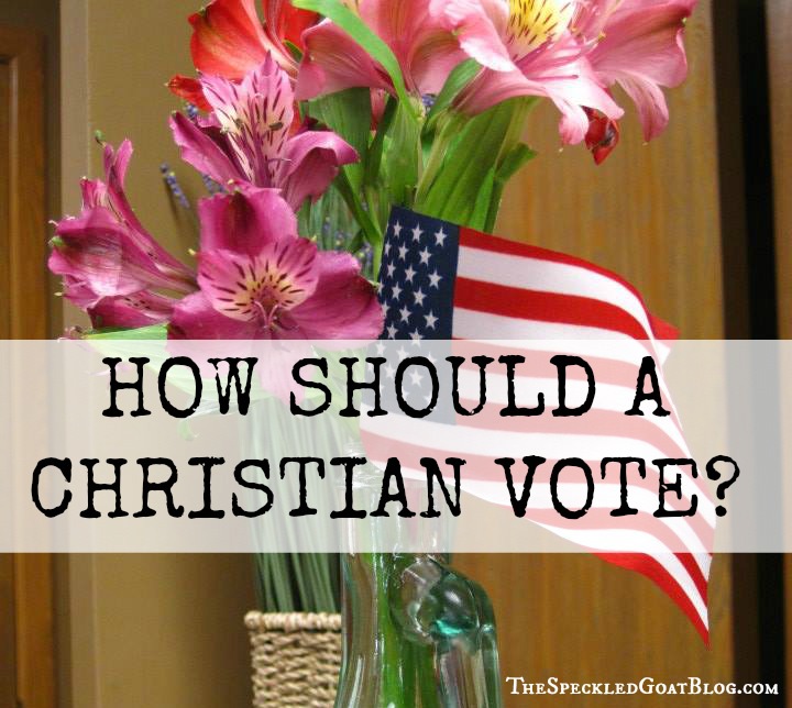 christianity presidential election who should I vote for as a christian voting