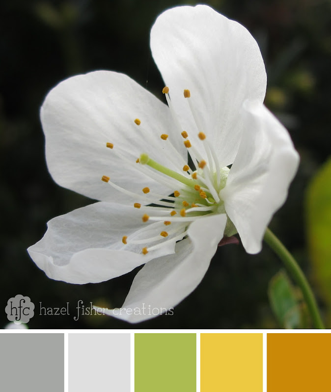 Colour Palette Inspiration Cherry Blossom flower by hazel fisher creations Colour Palette Inspiration Cherry Blossom flower by hazel fisher creations