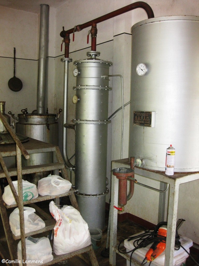 Camille's Samui Info blog Magic Alambic Rum Distillery in Ban Thale