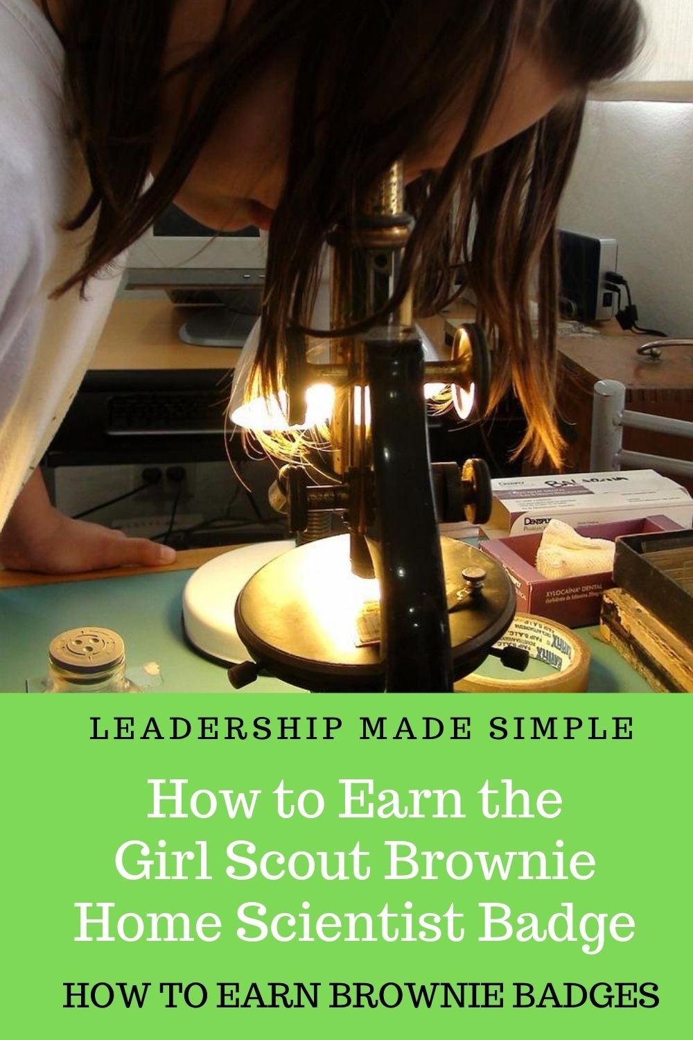 How to Earn Brownie Badges How to Earn the Girl Scout Brownie Home