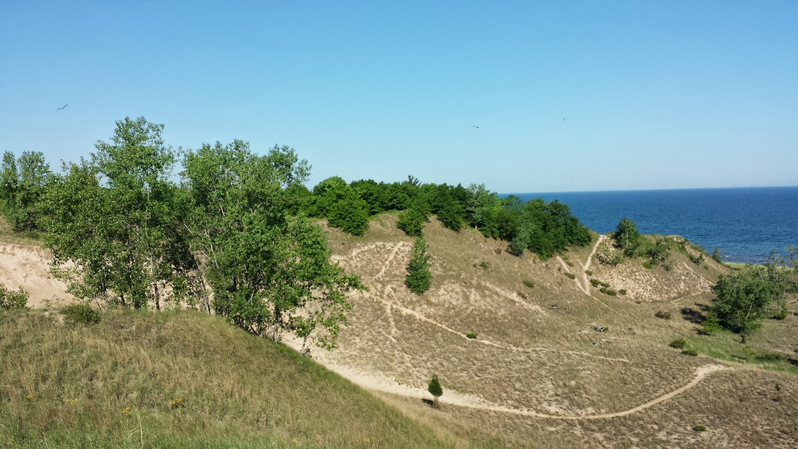 Dave Gapinski's Travels 2014: 7 June 2-July 4, 2014 Indiana Dunes