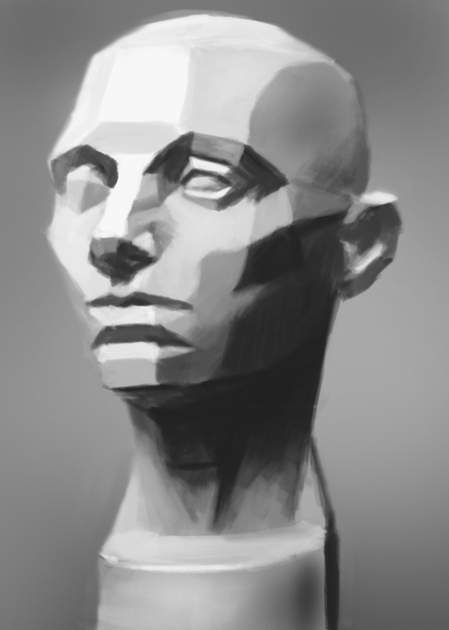 Incisive Artistry Planes of the Head Study