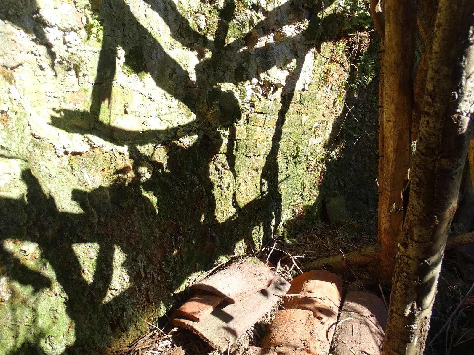 Historia y Patrimonio de Riosa: LA TEJERA DE LA CAMPA LA TEYERA (RIOSA)