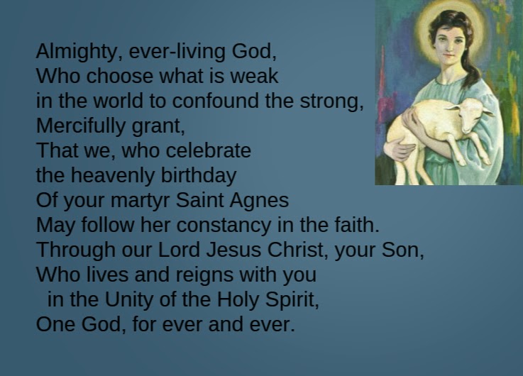 Daily Homilies Memorial of Saint Agnes, Virgin and Martyr