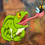 Games4King Gleeful Clever Frog Escape