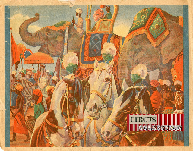 parades du cirques avec chevaux, éléphants  et zèbre