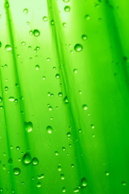 iPhone 4 Green Water Drops Wallpaper
