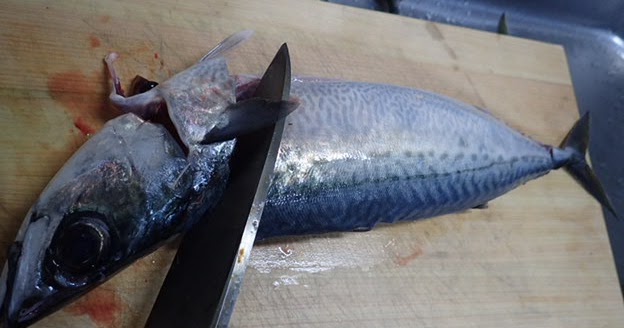 サバのさばき方を解説 三枚おろしの方法と骨の取り方をご紹介