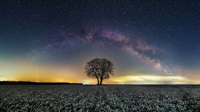 Wallpaper only of the tree of our galaxy at night