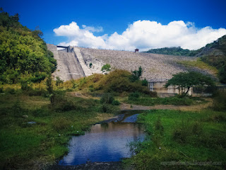 Natural View Around Titab Ularan Dam Output Side Area With Water Puddle Trees And Shrubs North Bali Indonesia