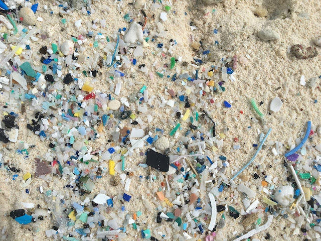 238 tons of plastic waste invaded the islands of paradise