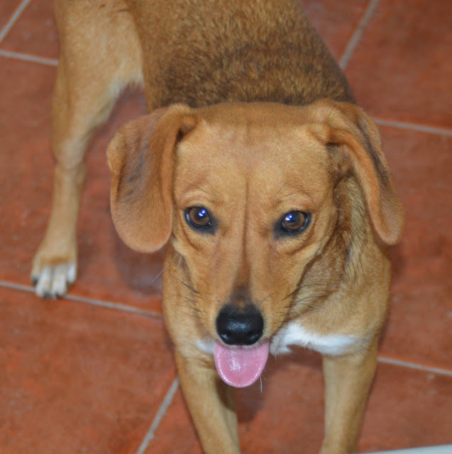 Das wahre Leben So´n büschen bekloppt ist ja ok. Neuzugänge a la