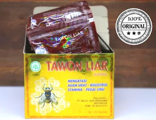 jual kapsul tawon liar di kalimantan, samarinda, balikpapan, banjarmasin, palangkaraya, dan pontianak