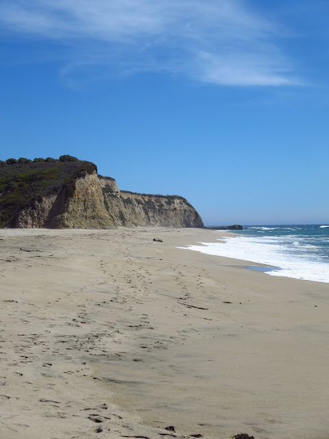 Scott Creek Beach