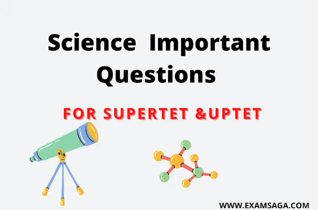 Science Questions For Uptet And Supertet Science Questions For Uptet And Supertet