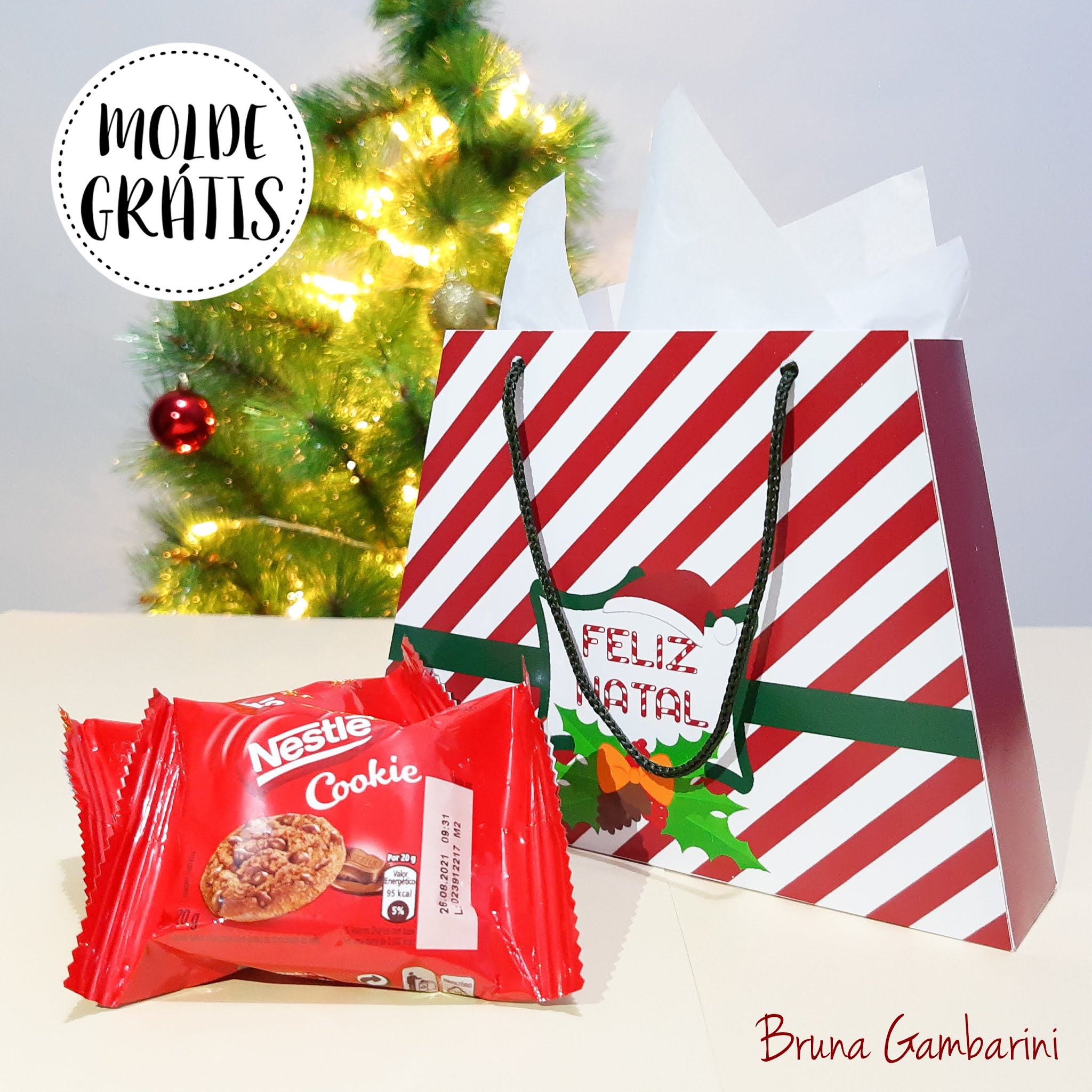 CAIXA CARTÃO BIS DE NATAL - MOLDE GRÁTIS - BRUNA GAMBARINI, Molde  disponível no GRUPO BRUNA GAMBARINI 🔴 CORRE LÁ!!! ✓ (aqui é a fanpage,  ok!? 💙) ⬇ Clique aqui, para mais informações:, By Bruna Gambarini