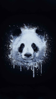 Gambar Panda Keren