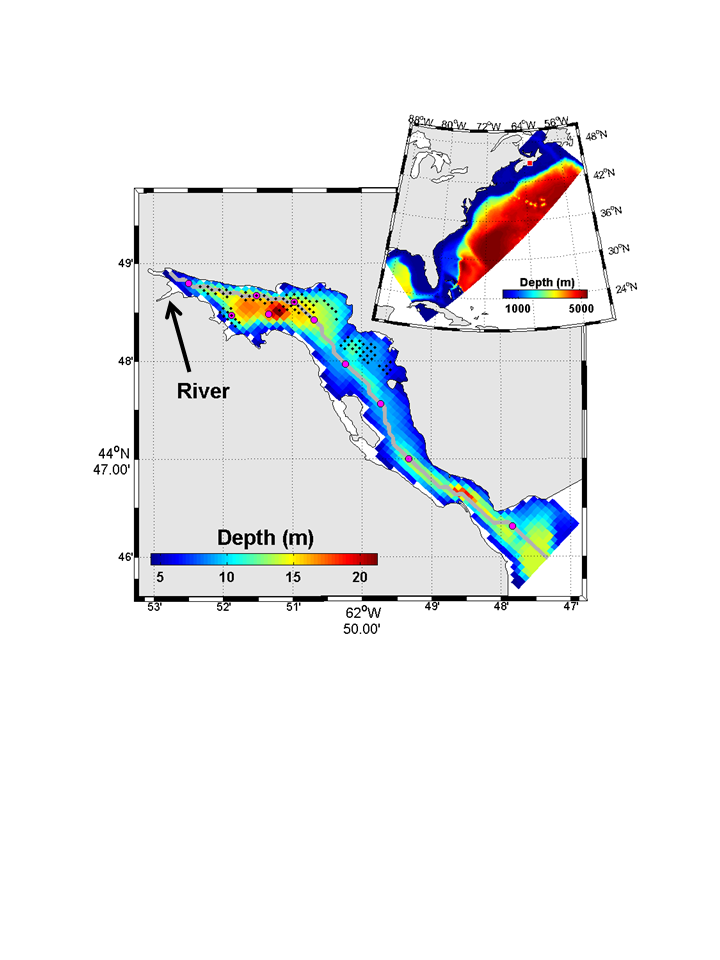 Shellfish Ecophysiology (SHELL-E) model
