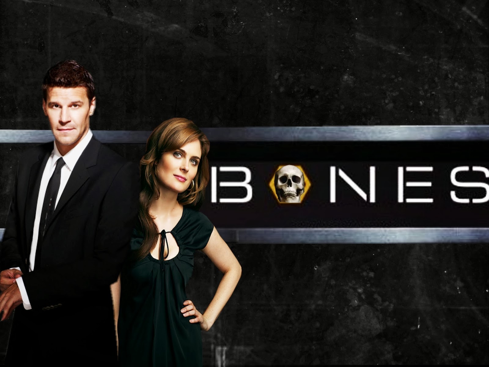 Wallpapers De S ries WALLPAPERS BONES PAPEIS DE PAREDE BONES IMAGENS bones-bones-wallpaper-6951021-fanpop