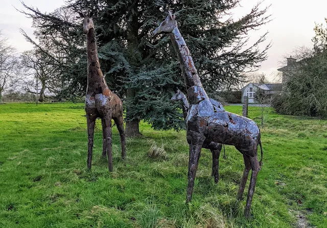 Giraffe sculptures at Burtown House and Gardens near Kilkea Castle in South Kildare