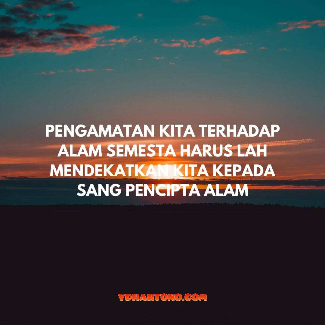 77 Caption Instagram Tentang Alam Penuh Inspirasi - ydhartono.com