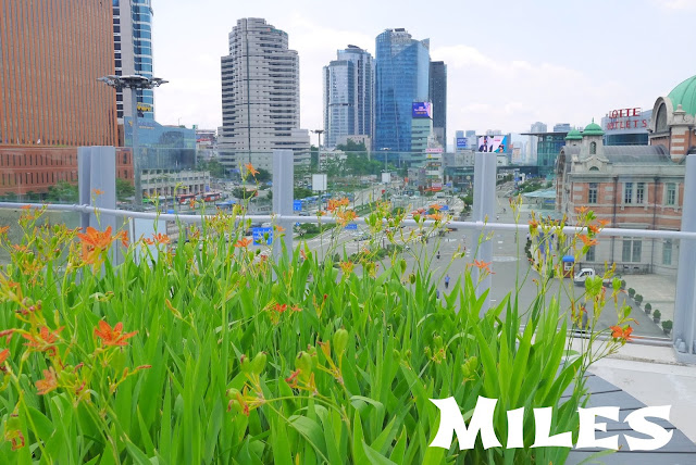 【首爾旅遊】首爾路7017@遊首爾最新玩法、市中心空中花園