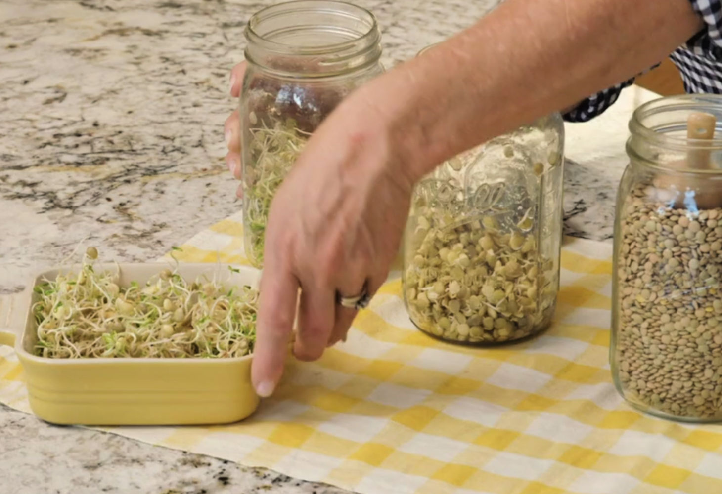 Growing Sprouts for your Chickens Fresh Eggs Daily® with Lisa Steele