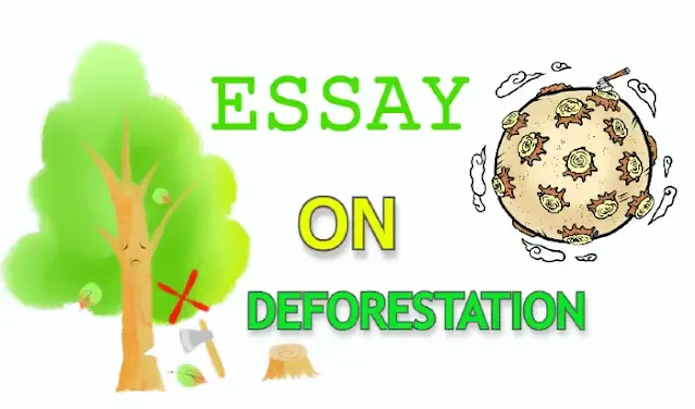 Essay about deforestation