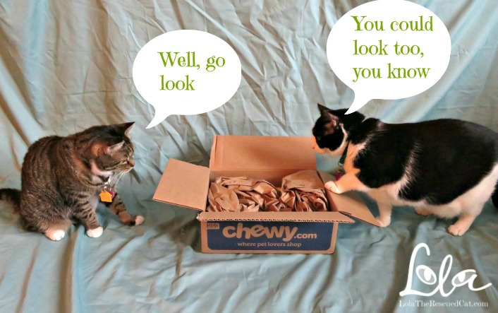 chewy.com|purina|tidy cats