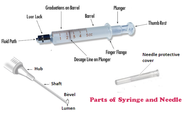 Parts Of Syringe And Needle, Functions, Uses