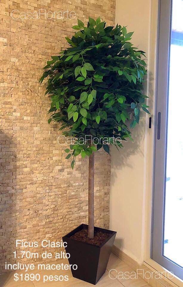 CASA FLORARTE Accesorios y Articulos para Decoración Interiores