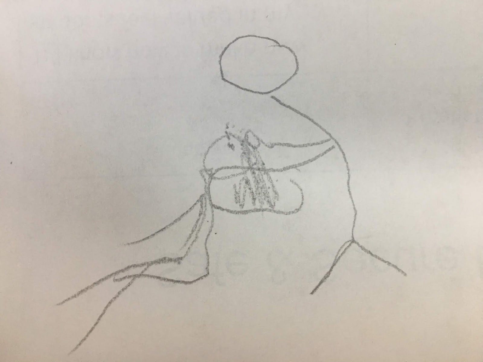 SWAS Teaching Strategies Nondominant Hand Drawing / Dibujo a mano no