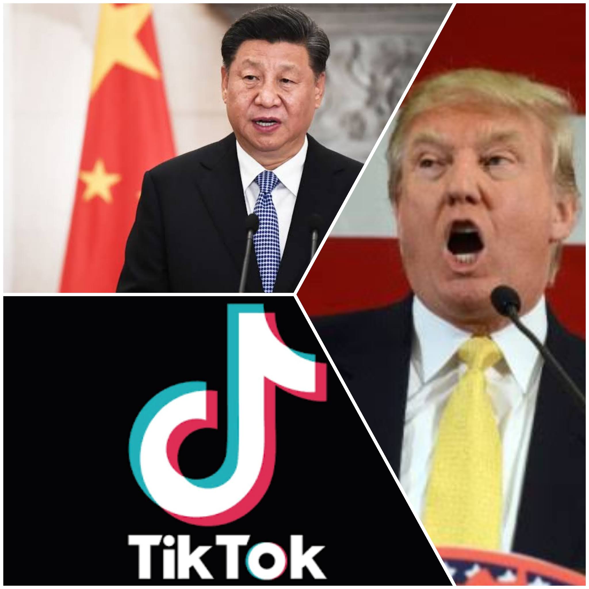 TikTok will banned by Trump's Government after Mid September, no