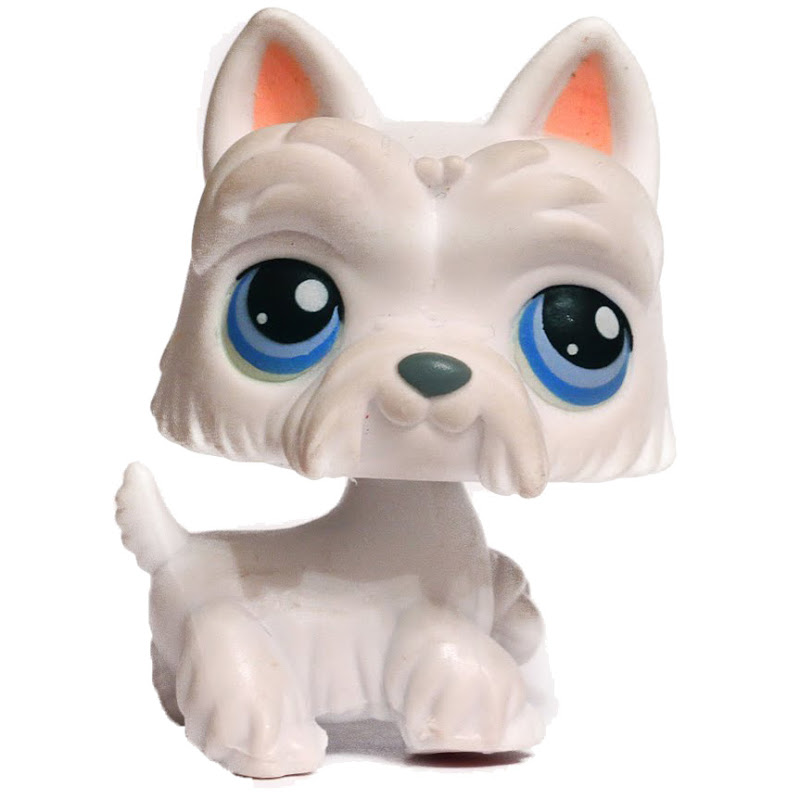 Littlest Pet Shop Singles Scottie (24) Pet LPS Merch