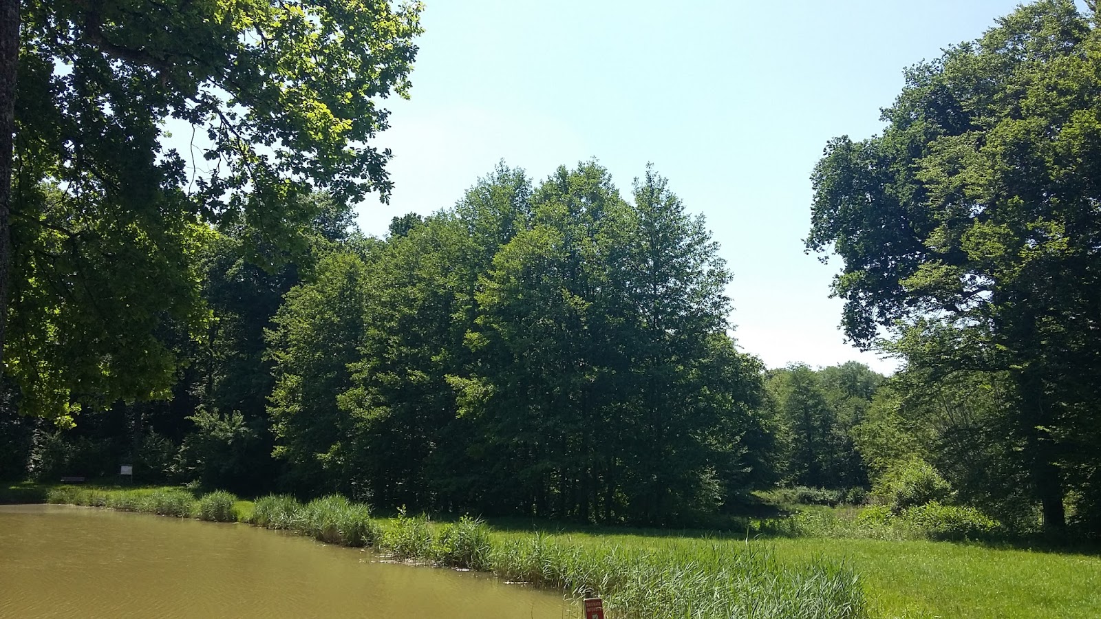 ASSOCIATION DE SAUVEGARDE DE LA FORET DE MONT SOUS VAUDREY LE PROJET