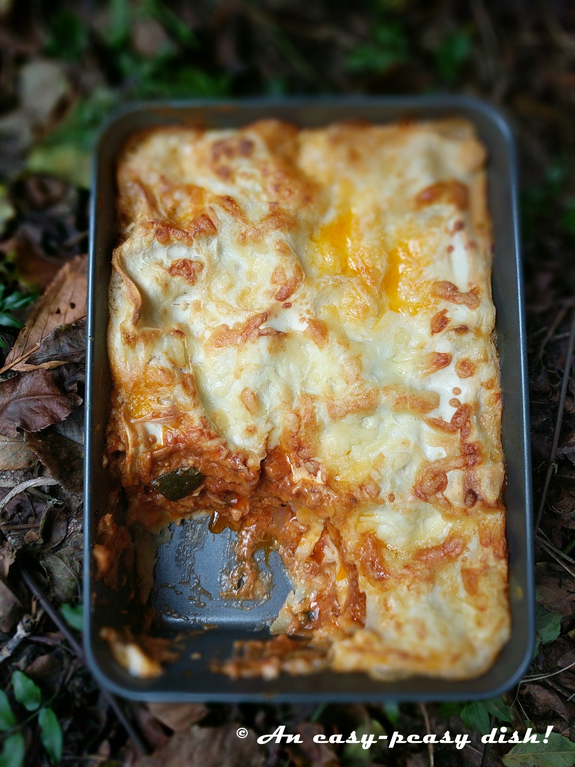 TUNA AND RATATOUILLE LASAGNE Easypeasy dish...