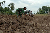 Berada Ditengah Tengah Masyarakat, Babinsa Bantu Petani Siapkan Lahan Pertanian.