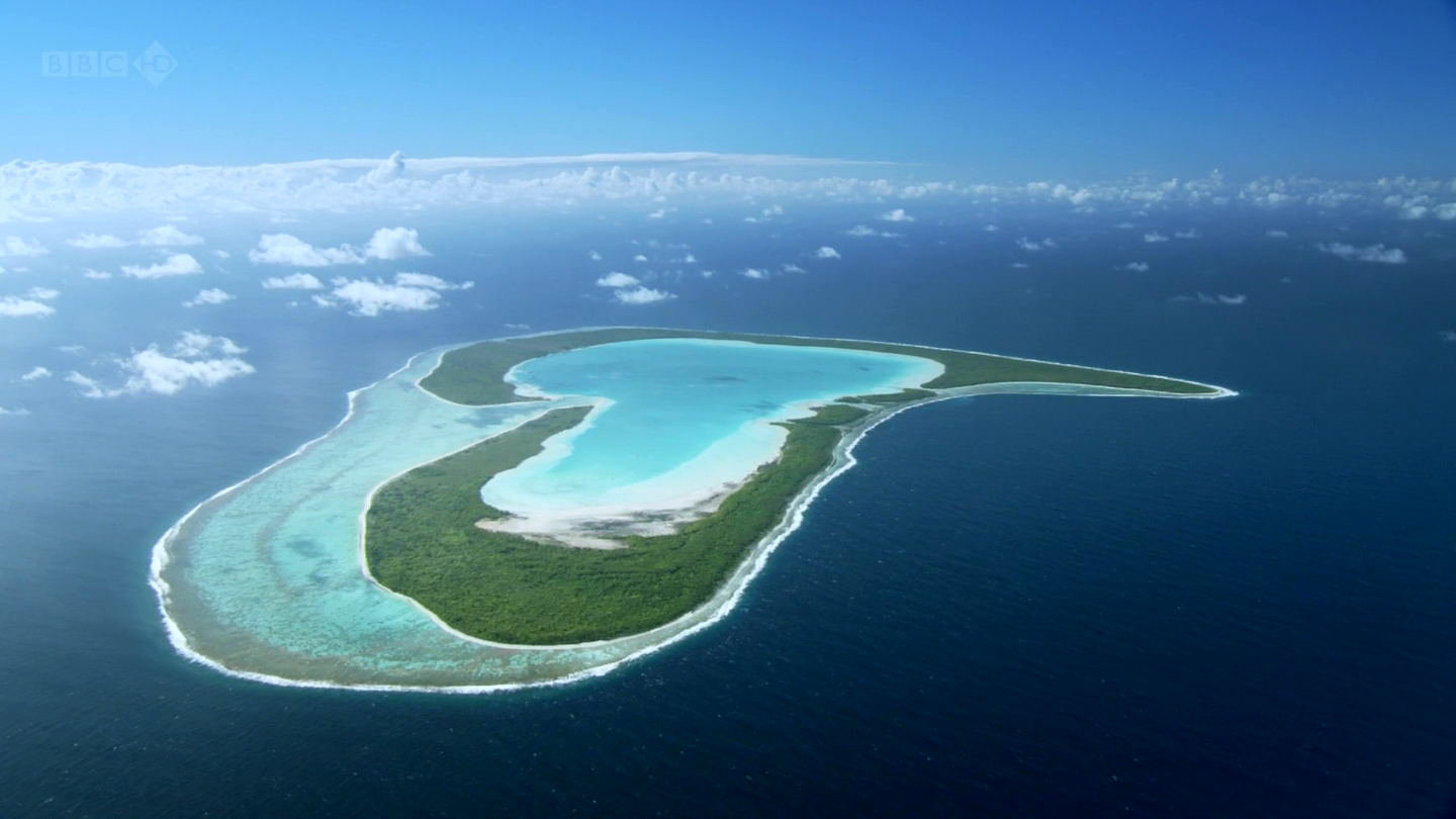 Океан бор. Остров Тупаи французская Полинезия. Атолл Тупаи. Плавучий остров в океане из деревьев.