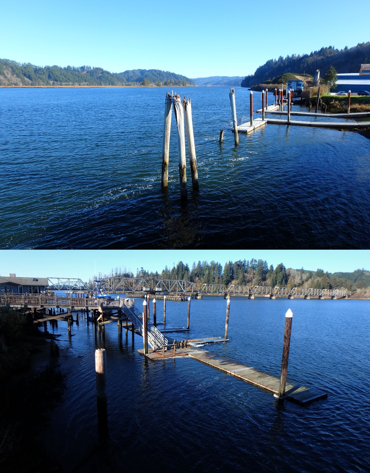 PAMPERED PENGUIN November 21,2019 Reedsport, Oregon