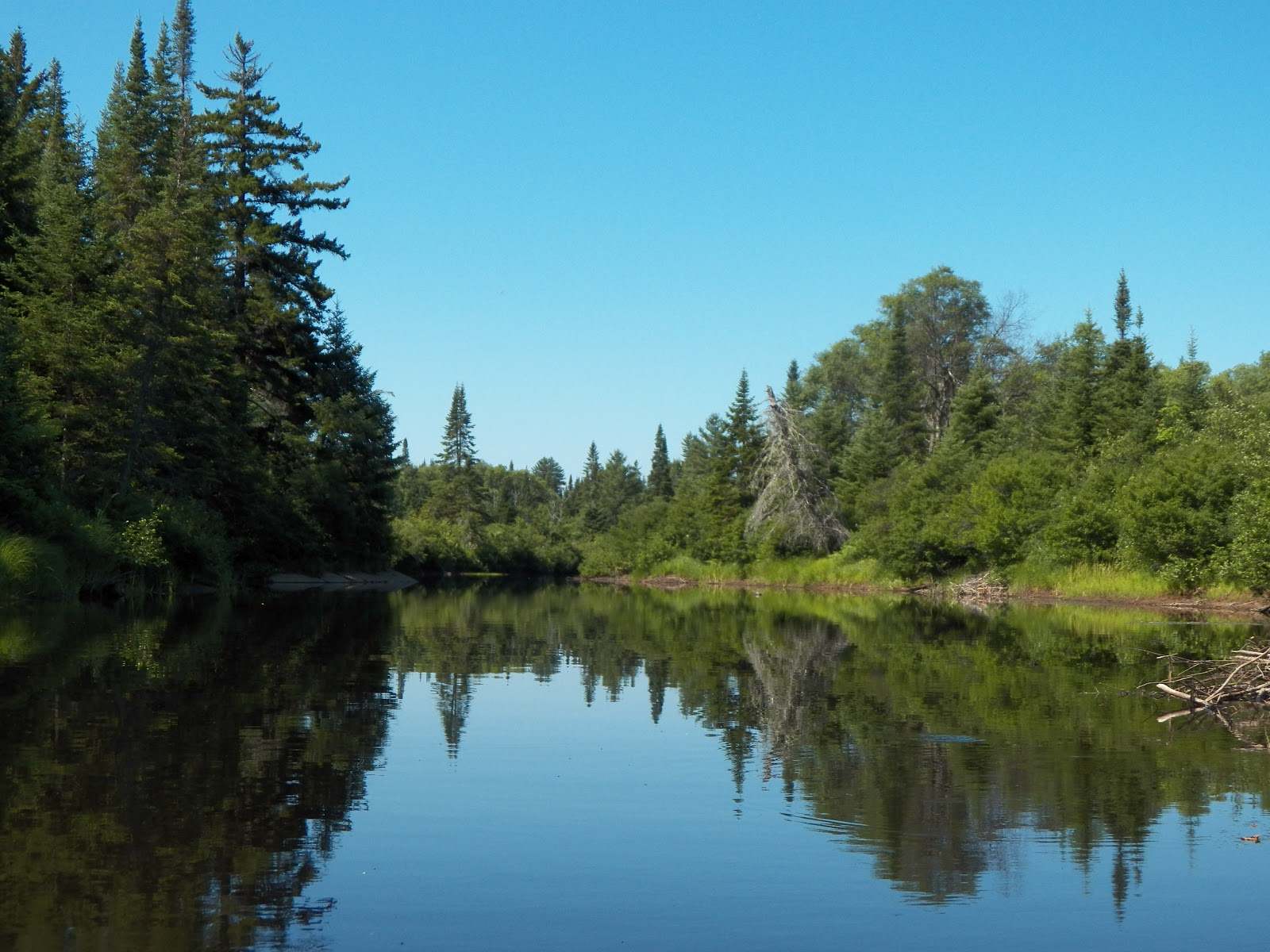 Quiet Kayaking in New York State Oswegatchie River near Star Lake