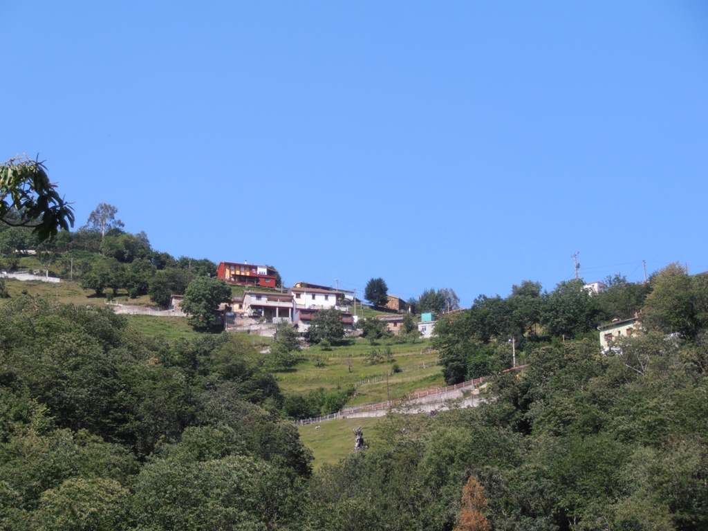 UN LUGAR PARA VIVIR Pandel
