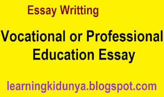 Vocational or Professional Education Essay