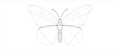 How To Draw A Butterfly Butterfly Drawing For Kids How To Draw A Butterfly Step By Step Easy