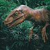 Facts About Dinosaur