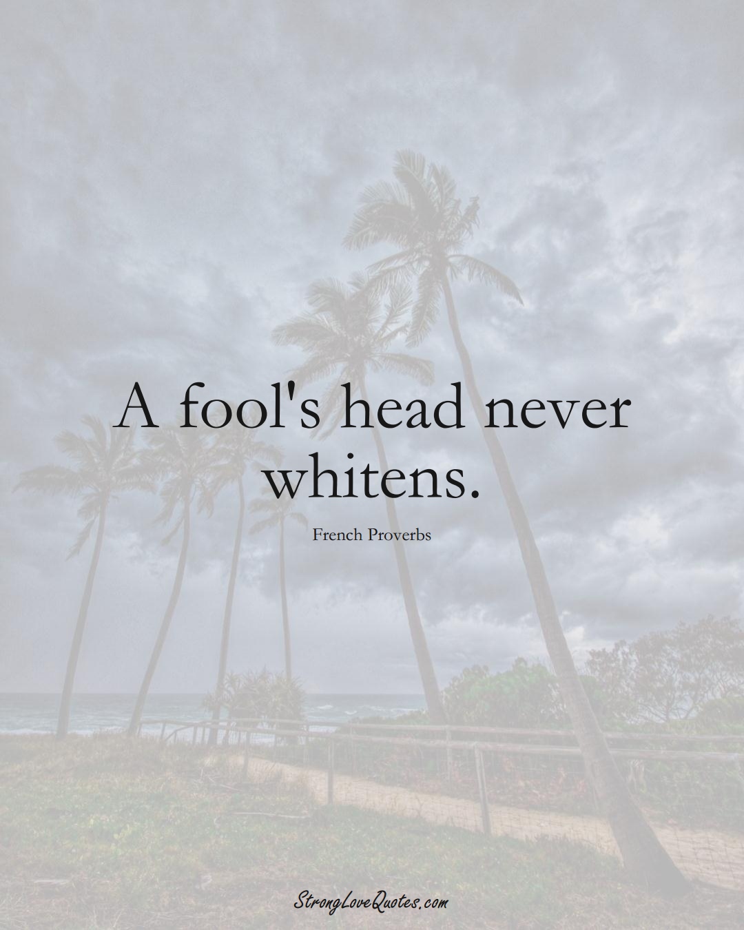 A fool's head never whitens. (French Sayings);  #EuropeanSayings